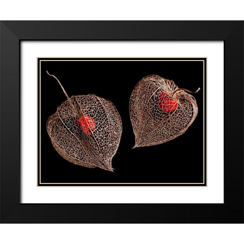 Lantern Hearts Black Modern Wood Framed Art Print with Double Matting by Weber, Matthias