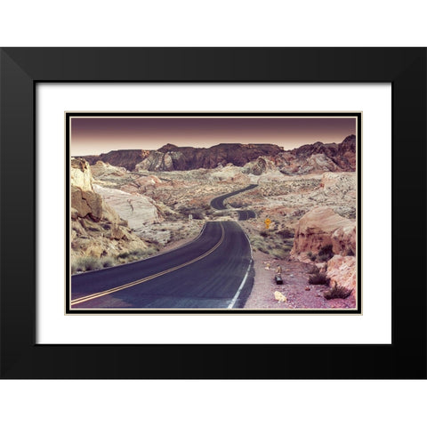 Snake Road Black Modern Wood Framed Art Print with Double Matting by Lichtenwalter, Tom