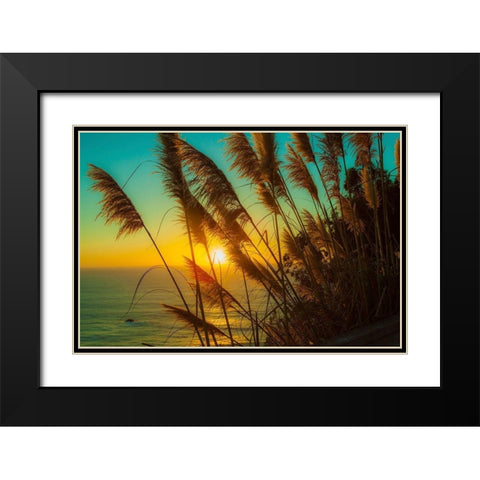 Shining Reed Black Modern Wood Framed Art Print with Double Matting by Lichtenwalter, Tom