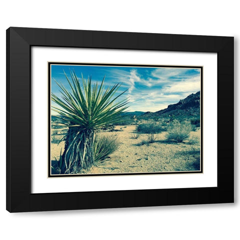 Lonesome Black Modern Wood Framed Art Print with Double Matting by Lichtenwalter, Tom