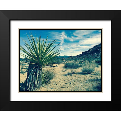 Lonesome Black Modern Wood Framed Art Print with Double Matting by Lichtenwalter, Tom