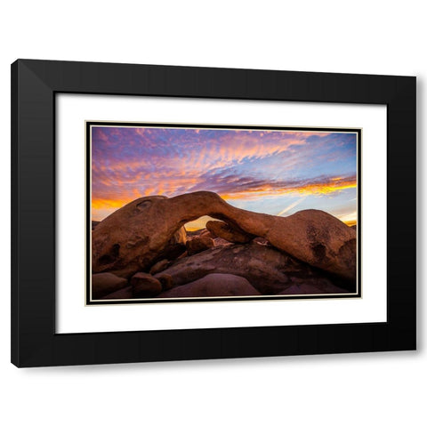 Stonebridge Black Modern Wood Framed Art Print with Double Matting by Lichtenwalter, Tom