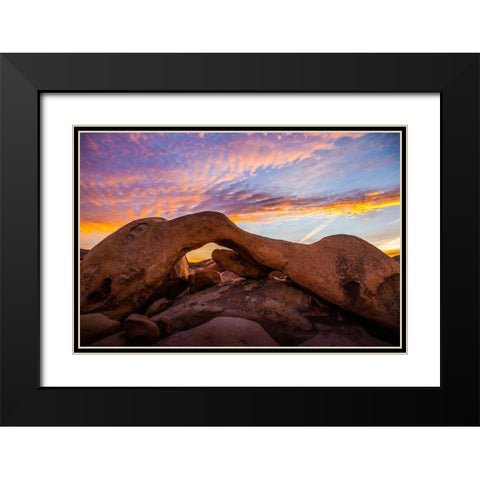 Stonebridge Black Modern Wood Framed Art Print with Double Matting by Lichtenwalter, Tom