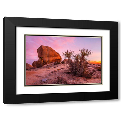 Stoneway Black Modern Wood Framed Art Print with Double Matting by Lichtenwalter, Tom