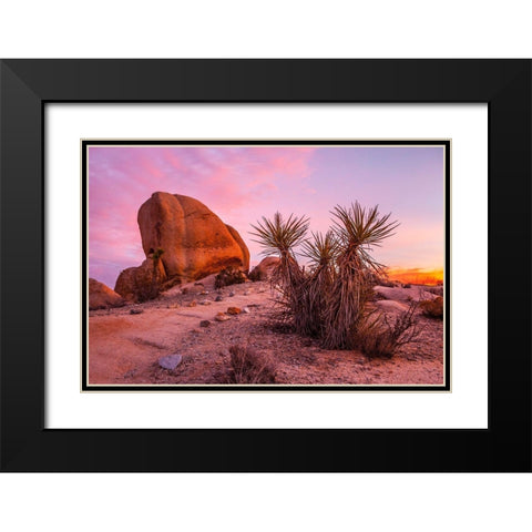 Stoneway Black Modern Wood Framed Art Print with Double Matting by Lichtenwalter, Tom