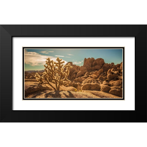 Desert Foreground Black Modern Wood Framed Art Print with Double Matting by Lichtenwalter, Tom