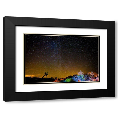 Stars over Joshua Black Modern Wood Framed Art Print with Double Matting by Lichtenwalter, Tom