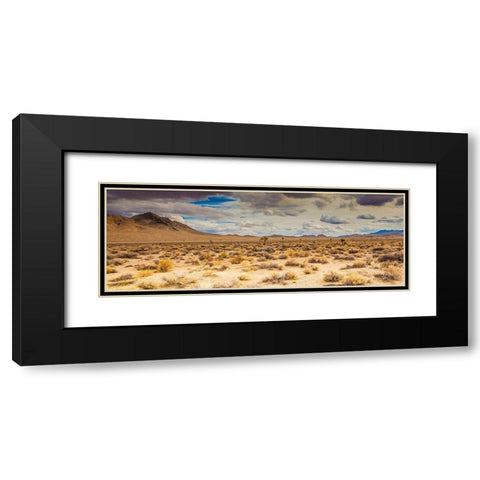 Open Range Black Modern Wood Framed Art Print with Double Matting by Lichtenwalter, Tom