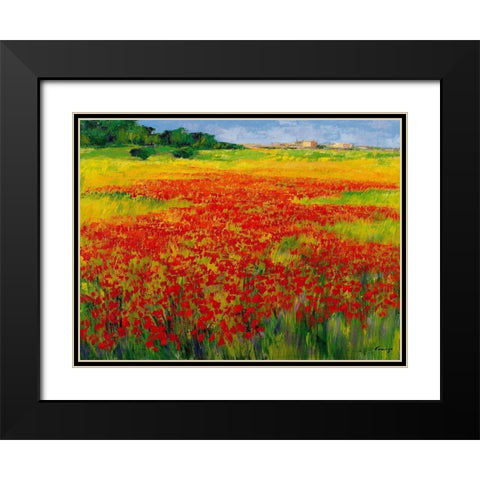 Amapolas IV Black Modern Wood Framed Art Print with Double Matting by Camargo, Jesus P.