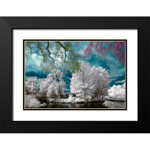 Cayac,Gradignan - Infrared Photography  Black Modern Wood Framed Art Print with Double Matting by Gee, Tonee