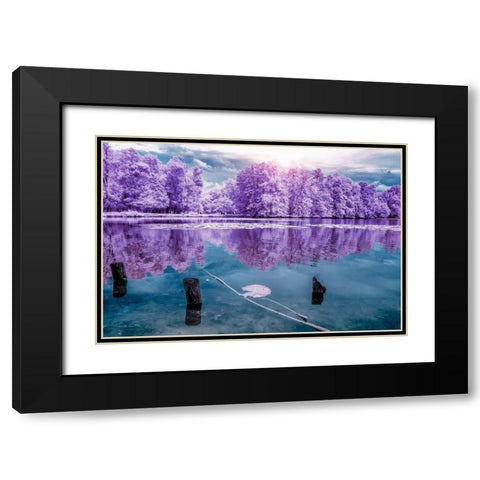 Majolan s Park Reflections I-Bordeaux - Infrared and UV photography  Black Modern Wood Framed Art Print with Double Matting by Gee, Tonee