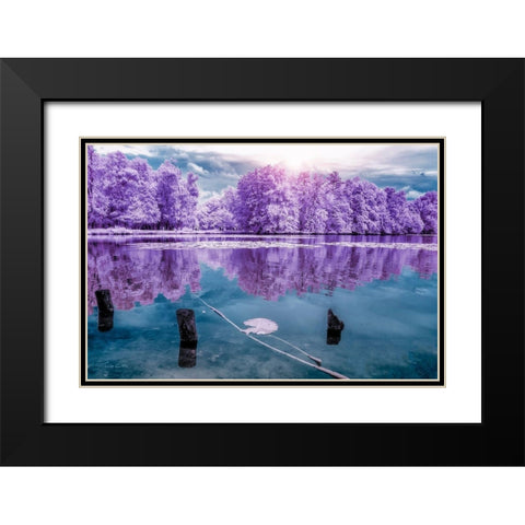 Majolan s Park Reflections I-Bordeaux - Infrared and UV photography  Black Modern Wood Framed Art Print with Double Matting by Gee, Tonee