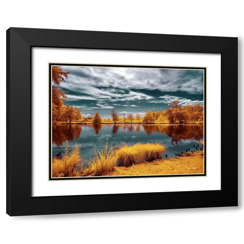 Majolan s Park Reflections II-Bordeaux - Infrared and UV Photography  Black Modern Wood Framed Art Print with Double Matting by Gee, Tonee