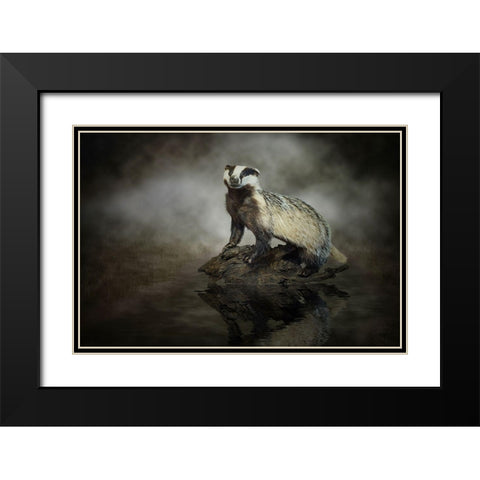 European Badger Black Modern Wood Framed Art Print with Double Matting by Visser, Michiel
