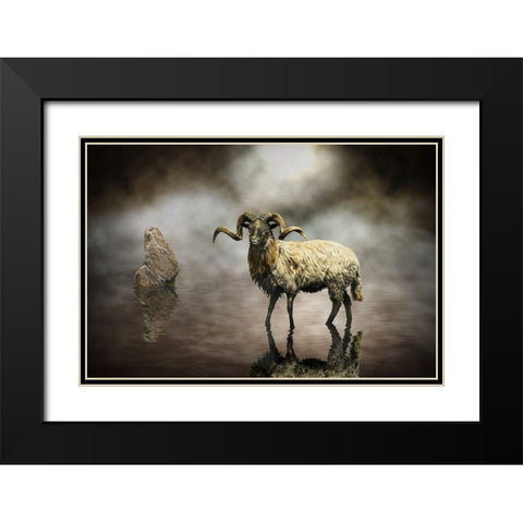 Sheep Black Modern Wood Framed Art Print with Double Matting by Visser, Michiel