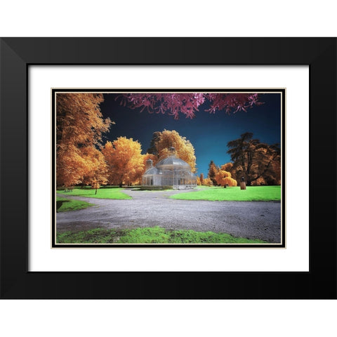Gradignan-Glasshouse I Black Modern Wood Framed Art Print with Double Matting by Gee, Tonee