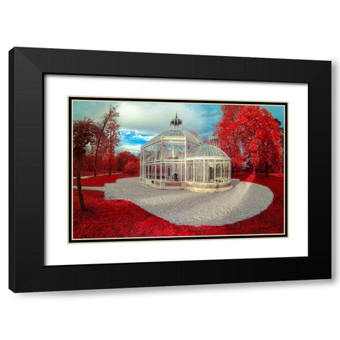 Gradignan-Glasshouse II Black Modern Wood Framed Art Print with Double Matting by Gee, Tonee
