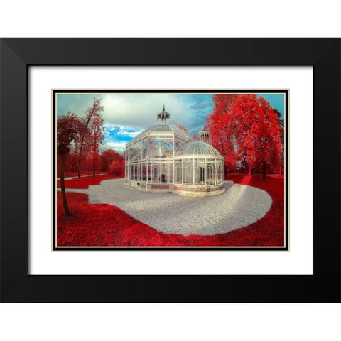 Gradignan-Glasshouse II Black Modern Wood Framed Art Print with Double Matting by Gee, Tonee