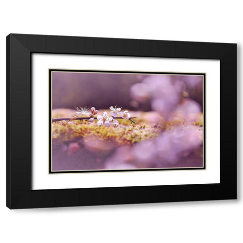 Aurore Black Modern Wood Framed Art Print with Double Matting by Strohmenger, Gaelle