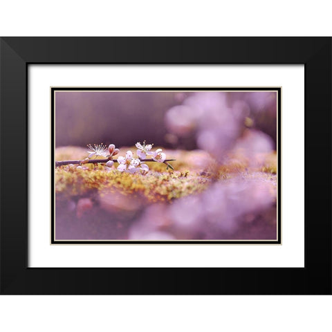 Aurore Black Modern Wood Framed Art Print with Double Matting by Strohmenger, Gaelle