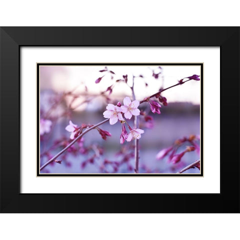 Crepuscule Black Modern Wood Framed Art Print with Double Matting by Strohmenger, Gaelle