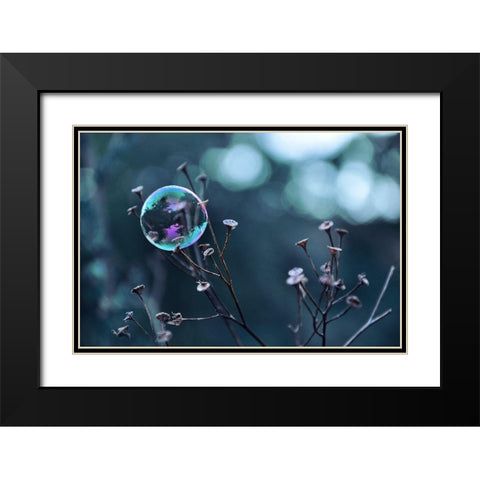 Fragile Perle Black Modern Wood Framed Art Print with Double Matting by Strohmenger, Gaelle
