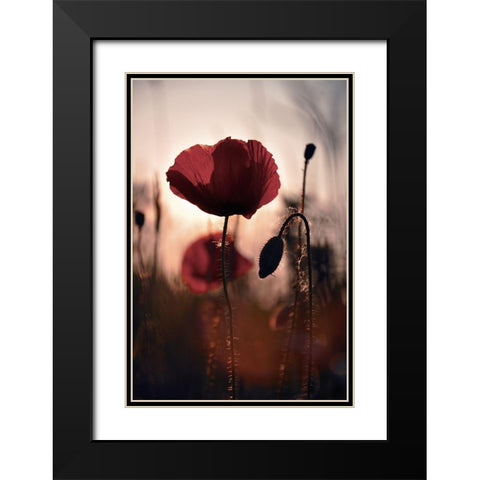 Vanite Black Modern Wood Framed Art Print with Double Matting by Strohmenger, Gaelle