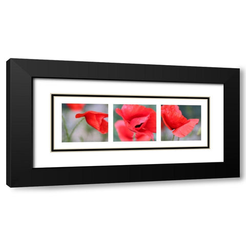 Mohn Black Modern Wood Framed Art Print with Double Matting by MIRA