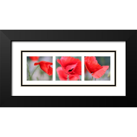 Mohn Black Modern Wood Framed Art Print with Double Matting by MIRA