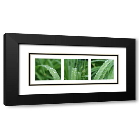 Raindrops Black Modern Wood Framed Art Print with Double Matting by MIRA