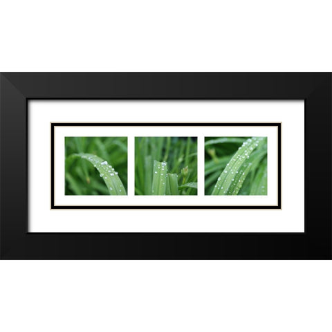 Raindrops Black Modern Wood Framed Art Print with Double Matting by MIRA