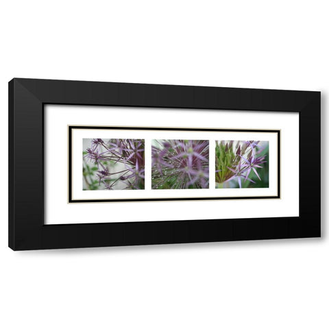 Allium I Black Modern Wood Framed Art Print with Double Matting by MIRA