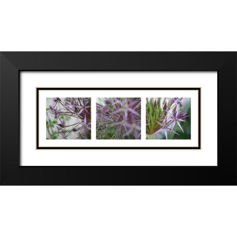 Allium I Black Modern Wood Framed Art Print with Double Matting by MIRA