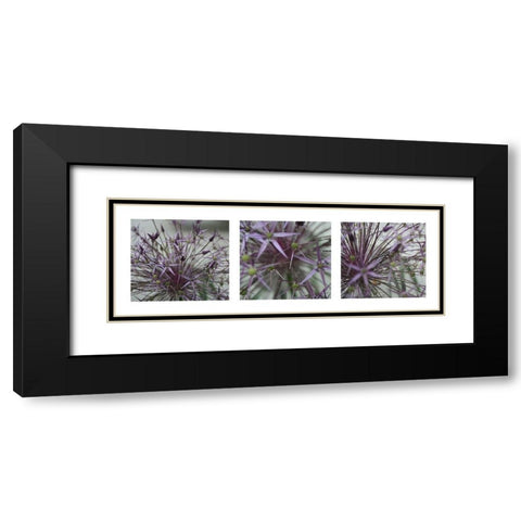 Allium II Black Modern Wood Framed Art Print with Double Matting by MIRA