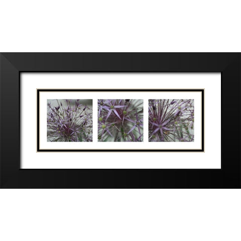 Allium II Black Modern Wood Framed Art Print with Double Matting by MIRA