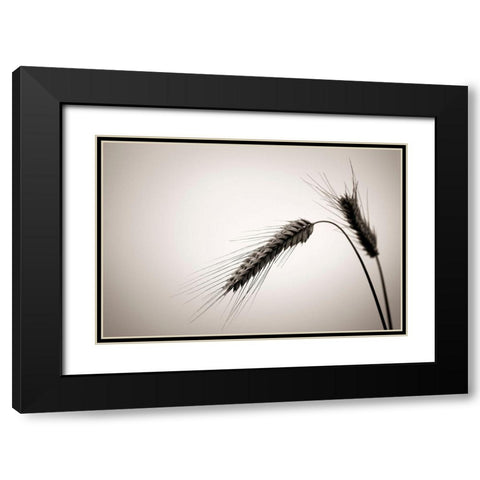 Sommertraum V Black Modern Wood Framed Art Print with Double Matting by Steger, Uwe