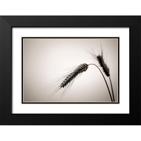 Sommertraum V Black Modern Wood Framed Art Print with Double Matting by Steger, Uwe