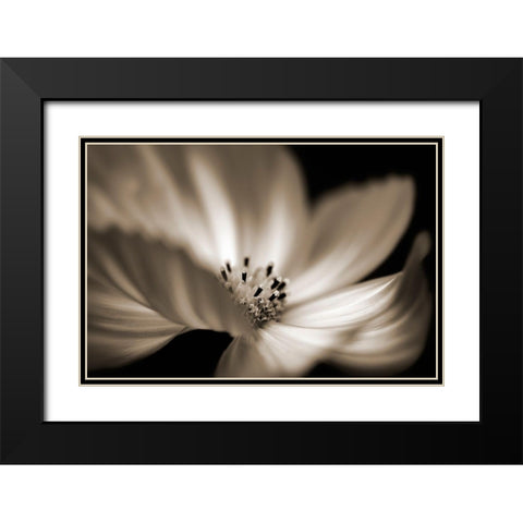 Die Tanzerin Black Modern Wood Framed Art Print with Double Matting by Steger, Uwe