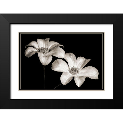 Stars II Black Modern Wood Framed Art Print with Double Matting by Steger, Uwe