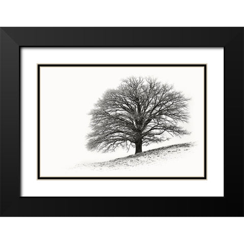 Solitar I Black Modern Wood Framed Art Print with Double Matting by Steger, Uwe