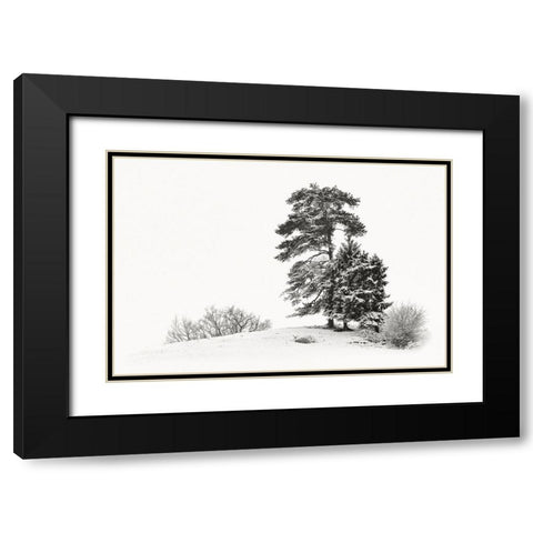Solitar II Black Modern Wood Framed Art Print with Double Matting by Steger, Uwe