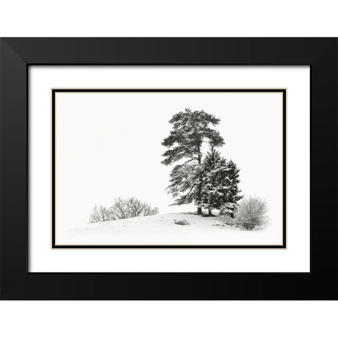 Solitar II Black Modern Wood Framed Art Print with Double Matting by Steger, Uwe