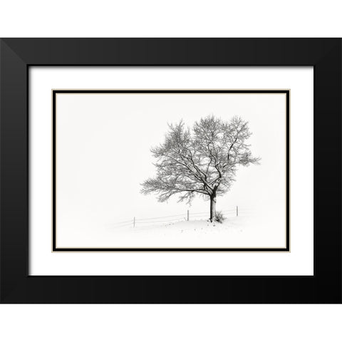 Solitar III Black Modern Wood Framed Art Print with Double Matting by Steger, Uwe