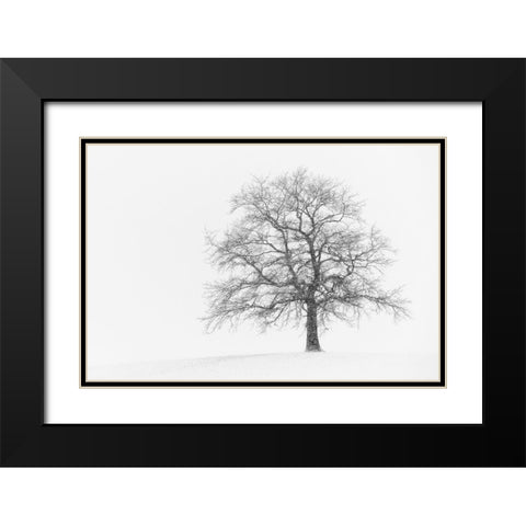 Wintersturm I Black Modern Wood Framed Art Print with Double Matting by Steger, Uwe
