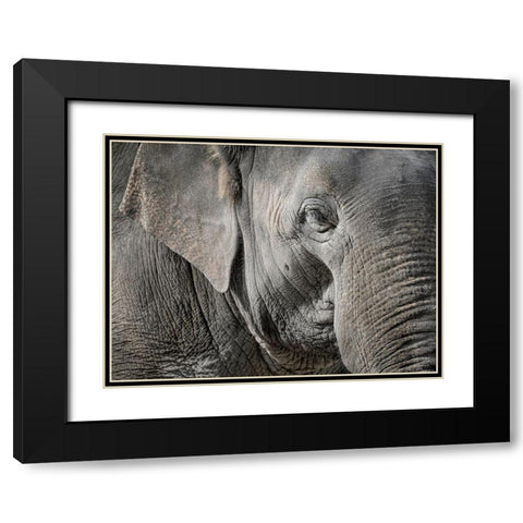 Master Front Black Modern Wood Framed Art Print with Double Matting by Steger, Uwe