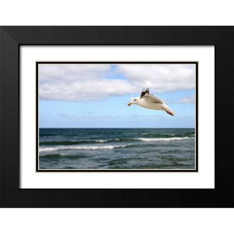 Lonely Bird Black Modern Wood Framed Art Print with Double Matting by Steger, Uwe