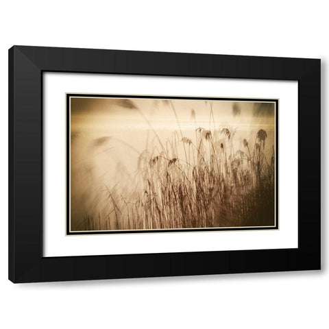 Traumzeit I Black Modern Wood Framed Art Print with Double Matting by Steger, Uwe