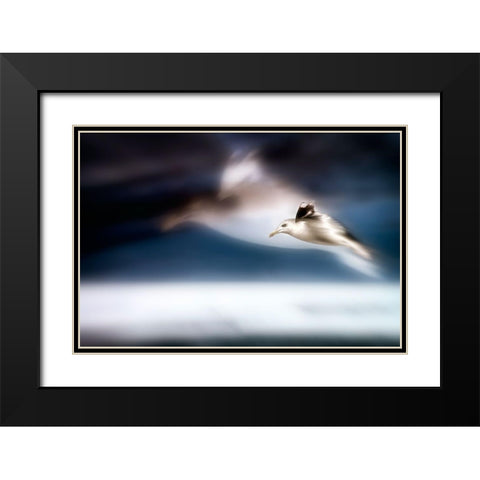 Dreamfly Black Modern Wood Framed Art Print with Double Matting by Steger, Uwe