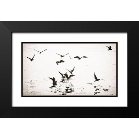 White and Black Black Modern Wood Framed Art Print with Double Matting by Steger, Uwe