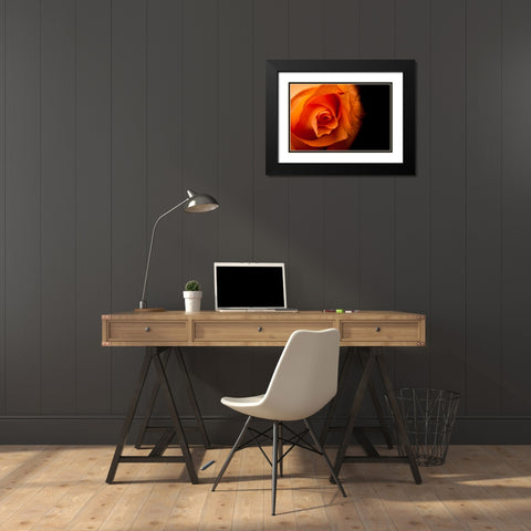 Rose gelb I Black Modern Wood Framed Art Print with Double Matting by Brosius, Volker